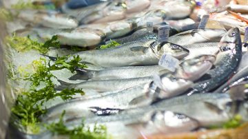 魚がもたらす利点