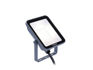 Ledinaire Floodlight