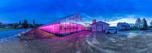 フィリップス LED ライティング  ホルティカルチャー（園芸）向け