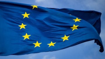 ガラス張りの建物の隣にある木