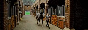 Bourne Hill Stables による、UV-C 照明を使用した安全な環境づくり